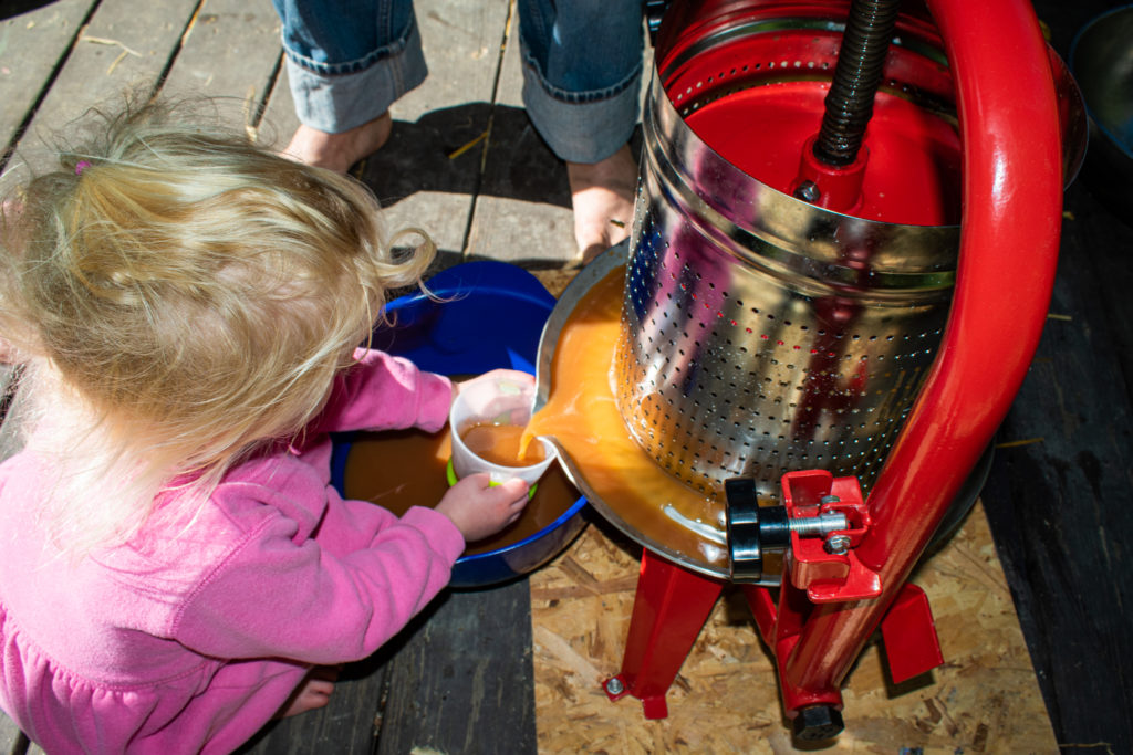 Ada samples some cider hot off the press.