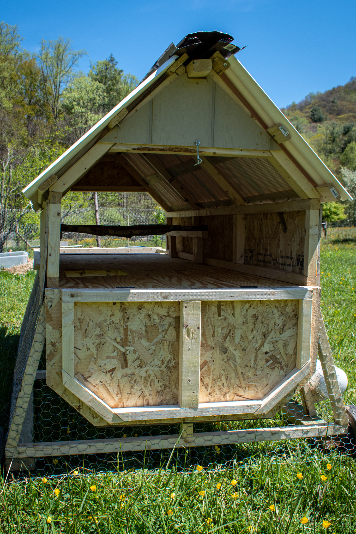 7 Chicken Coop Design Tips - Epicurean Homestead