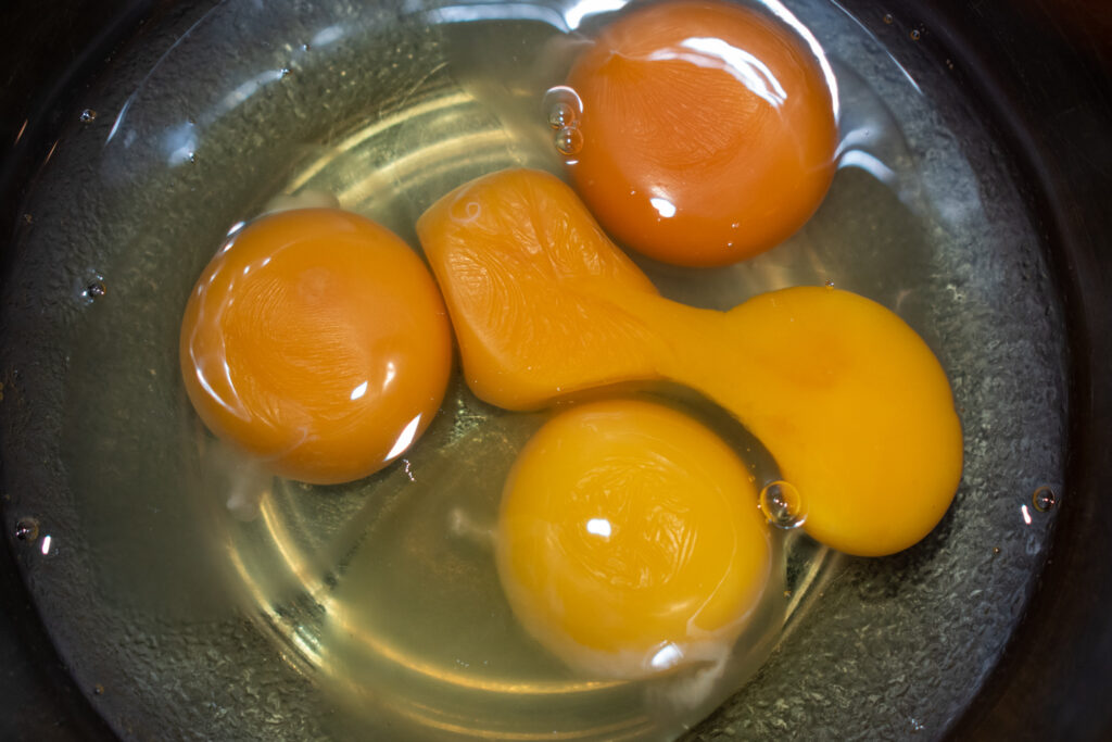 waterglass eggs look normal